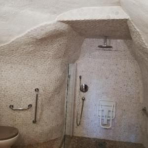 een badkamer met een douche en een toilet in een kamer bij La Fontaine de la Chapinière CW in Châteauvieux