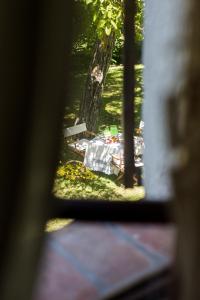 Zahrada ubytování Casa di Nonna Nuccia