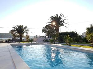 巴尔巴特纳拉布Villa Birk的有棕榈树的游泳池和一栋建筑