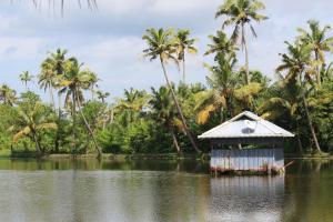 Imagen de la galería de Telma Beach Homestay, en Mararikulam