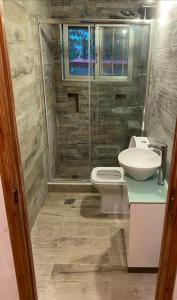 a bathroom with a shower and a toilet and a sink at La casa de PortoRafti in Porto Rafti
