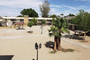 a palm tree and street lights in front of a building at Days Inn by Wyndham Brawley in Brawley