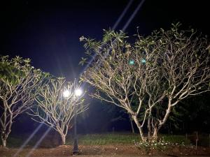 Afbeelding uit fotogalerij van ดอยอ้ายต้อย-Baandoi in Ban Mae Na +10 foto's