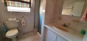 ein Badezimmer mit einem WC, einem Waschbecken und einem Spiegel in der Unterkunft Hinterheim in Lambertʼs Bay