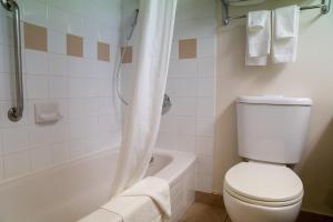 
A bathroom at Sawridge Inn & Conference Centre Jasper
