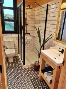 a bathroom with a shower and a toilet and a sink at Apartamentos La Casina de los Músicos in Siero