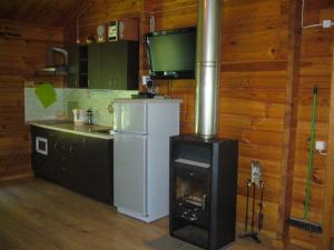 a kitchen with a wood stove in a room at Ezerzemes in Nirza
