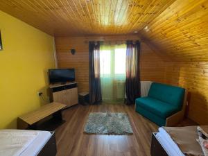 una piccola camera con una sedia verde e una televisione di Cabana la Razvan a Petroşani