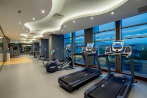Фитнес-центр и/или тренажеры в Movenpick Hotel Malatya