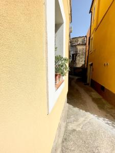 The building in which a panziókat is located