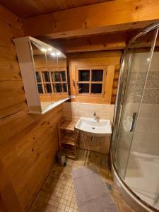 La salle de bains est pourvue d'un lavabo et d'une douche. dans l'établissement Ferienhütte Bosic, à Baierdorf