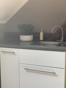a kitchen counter with a sink and a plant at das Eppelsheimer in Undenheim