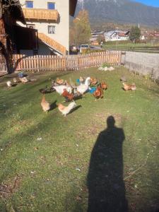 Nespecifikovaný výhled na hory nebo výhled na hory při pohledu z apartmánu
