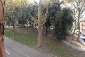 a tree on the side of a road next to a street at Casa Milena in Mestre