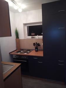 a kitchen with a stove and a black cabinet at Moderne Ferienwohnung bis 4 Personen in Ronneburg
