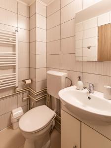 Koupelna v ubytování Ionita apartament