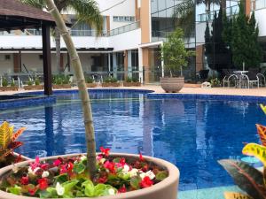 Bazén v ubytování Reserva Praia Hotel nebo v jeho okolí