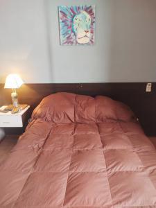 Lunita de Alberdi في قرطبة: سرير مع لحاف وردي في غرفة النوم