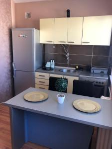 a kitchen with two plates on a counter with a refrigerator at Square Vanilla Downtown in Skopje