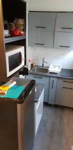 a kitchen with a sink and a microwave at DUPLEX 4 pers super murat 1200 m alt prox mont dore bourboule sancy in Murat-le-Quaire