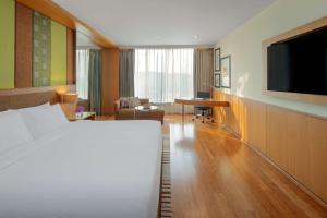 TV a/nebo společenská místnost v ubytování Radisson Blu Hotel Guwahati