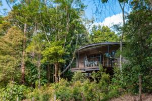 a tree house in the woods at Whispering Valley Cottage Retreat in Maleny