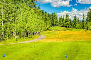 Golf v prázdninového domu nebo okolí