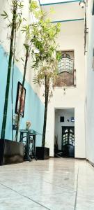 een kamer met bomen en een tafel in een gebouw bij HOM Roma in Mexico-Stad