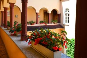 Zahrada ubytování Boardinghouse Pfarrkirchen