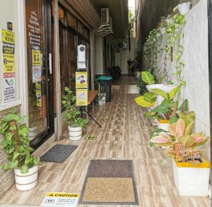 um corredor com vasos de plantas ao lado de um edifício em Acrige Apartelle 2-4 pax Queen @ heart of Bogo City em Banban
