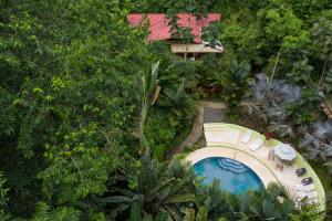 una vista aérea de una piscina en un jardín en Las Palomas Villas, en Cocles