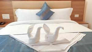 卡纳塔尔Hotel Alpine Musk的相册照片