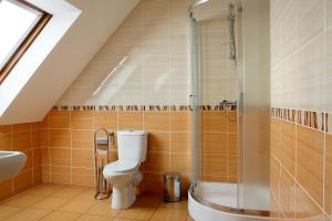 a bathroom with a toilet and a shower at Wodnik in Krosno