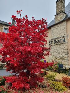 En hage utenfor Hôtel Saint-Roch, The Originals Relais