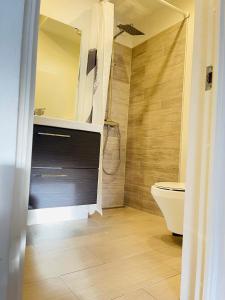 a bathroom with a shower and a toilet in it at aday - Central cozy and bright apartment in Aalborg