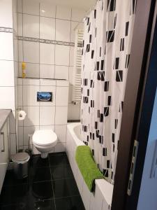 a bathroom with a white toilet and a green rug at Appartement Krefeld-City in Krefeld