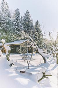a house covered in snow in front of trees at Blickinsfreie - Cabin in Schöneck