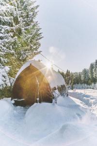 Blickinsfreie - Cabin im Winter