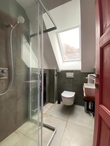 a bathroom with a shower and a toilet and a window at Hostel Soča Rocks in Bovec +35 photos