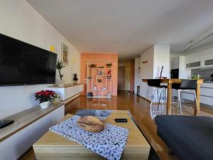 Televízia a/alebo spoločenská miestnosť v ubytovaní Apartman Bruna SELF CHECK-IN