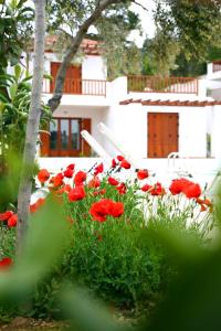 Gallery image of Skopelos Summer Homes in Skopelos Town