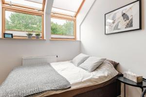 1 dormitorio con 1 cama y 2 ventanas en No 41 Apartament, en Lublin