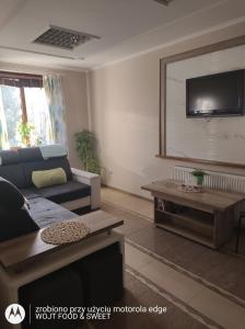 - un salon avec un canapé et une télévision dans l'établissement Apartament "Good Night", à Nowy Dwór Gdański
