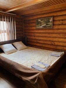 Un pat sau paturi într-o cameră la Orlyne Gnizdo