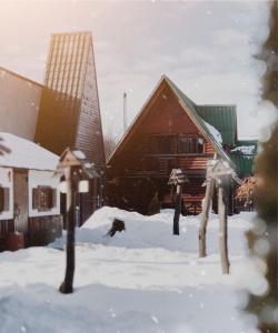 チェルニウツィーにあるOrlyne Gnizdoの雪家