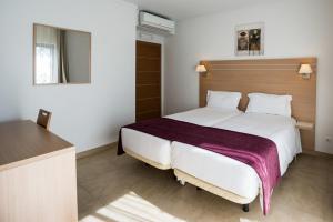a bedroom with a large bed and a mirror at Sagres Time Apartamentos in Sagres