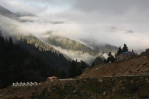 Gallery image of Serinyer Dağ Evi in Ayder Yaylasi +56 photos