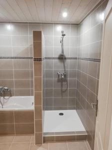 a bathroom with a shower and a tub and a shower at La Maison de Toi et Moi in Castellane