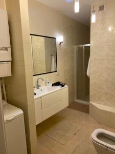 里沃的住宿－Penthouse BlueSky，一间带水槽、淋浴和卫生间的浴室