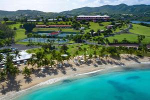 
a beach with palm trees and palm trees at The Buccaneer Beach & Golf Resort, Trademark St Croix USVI in Christiansted
